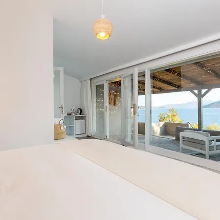 Casa Daracia ホテル
